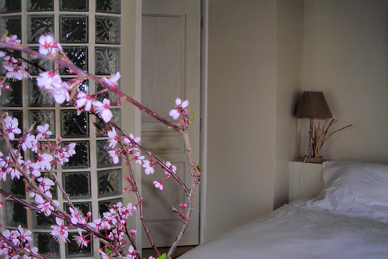Le clos Sainte Anne - photo 5