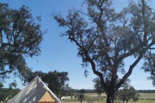 Uma noite em Tipi com pequeno-almoço para 2 em Direction South Glamping em Montargil (Portalegre)
