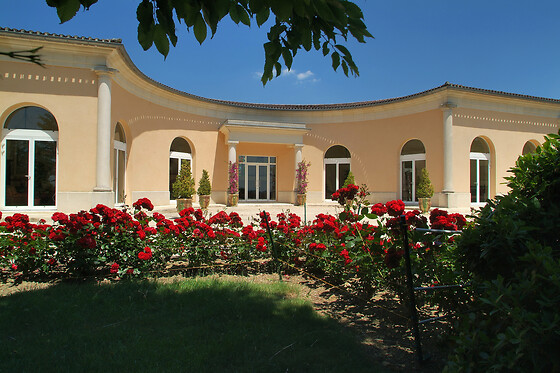 Vignobles Chatonnet - photo 1