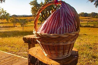 Uma noite em Tipi com pequeno-almoço para 2 em Direction South Glamping em Montargil (Portalegre)
