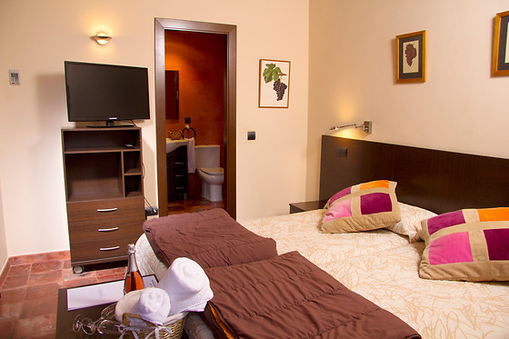 PAGO DE THARSYS - photo 6