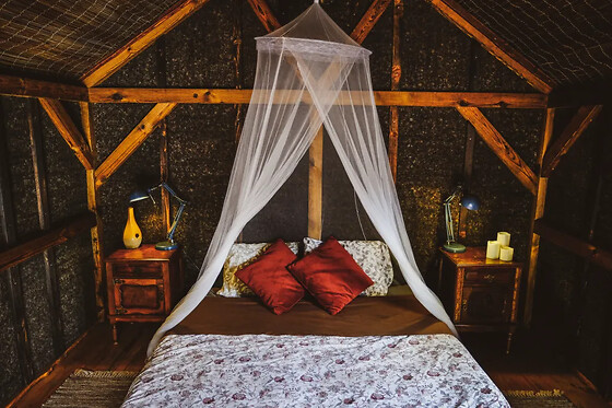 Quinta Alma, ecological Retreat Farm - photo 9