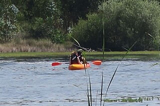 Mota de água | Nautispot em Santarém