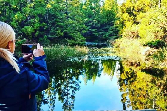 Azores Nature Tours - photo 12