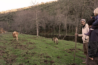 Meio dia Rural com Pastoreio para 2 em Beir'aja em Penamacor (Castelo Branco)