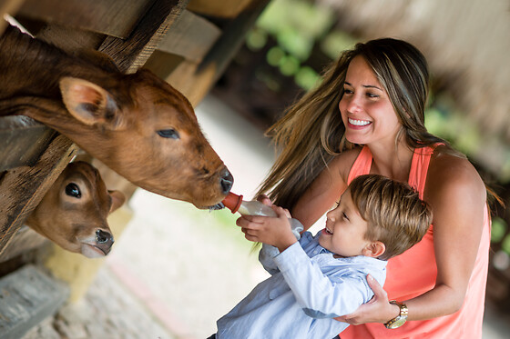 Ferme Le Bochet - photo 10
