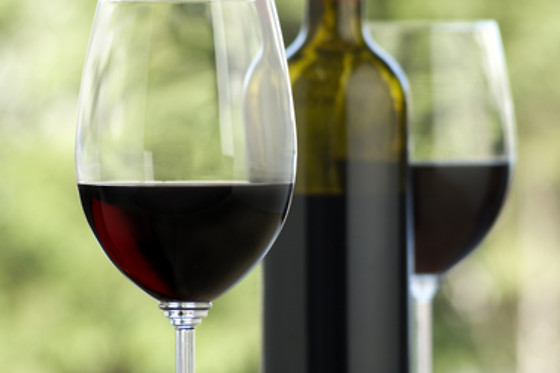 SALAS DE CATA POPYWINE - photo 2