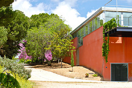 BODEGA LA LEGUA