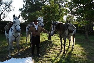 Experiência Equestre: Batismo a Cavalo para 1 | Coudelaria Rita Cotrim, Golegã (Santarém)
