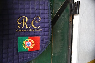 Experiência Equestre: Batismo a Cavalo para 1 | Coudelaria Rita Cotrim, Golegã (Santarém)