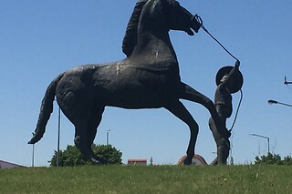 Experiência Equestre: Batismo a Cavalo para 1 | Coudelaria Rita Cotrim, Golegã (Santarém)