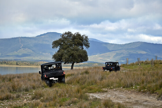 PANTHOS - photo 9