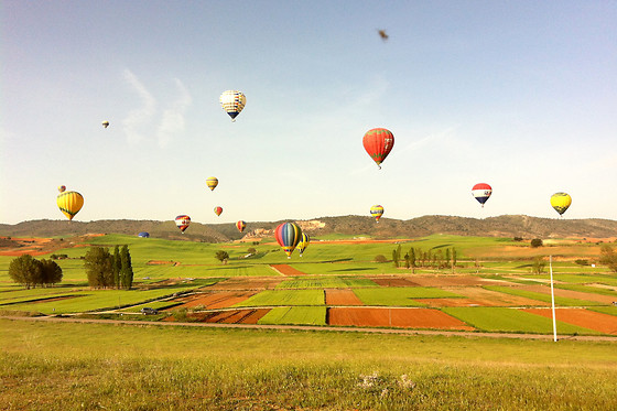 EOLOFLY - photo 5