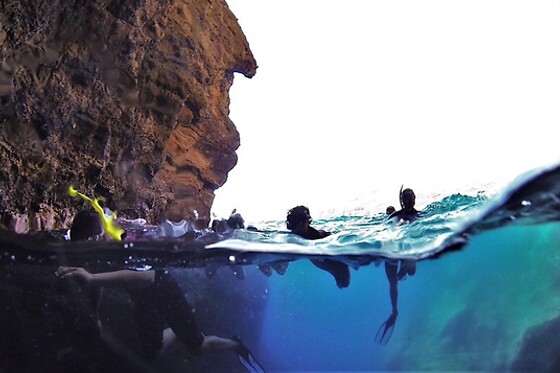 Snorkeling em Angra do Heroísmo | Para 1 pessoa - 2h | Green Generation - Açores