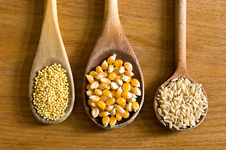 Degustação Vegetariana a 2 | Restaurante Vegetariano Alfarroba, a 600m do Parque Eduardo VII (Lisboa)