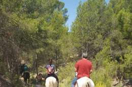 ALICANTE HÍPICA MAIGMO