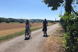 Le Vigné