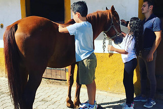 Passeio Equestre pelas Paisagens da Serra da Estrela + Visita à Quinta da Coragem para 2 | Várzea de Meruge (Guarda)