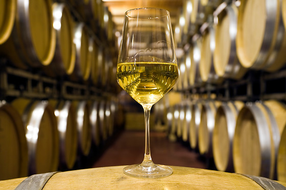 BODEGAS SOMMOS - photo 2