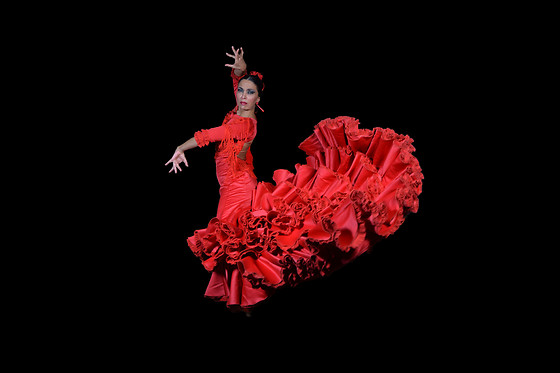 TEATRO FLAMENCO MADRID - photo 7