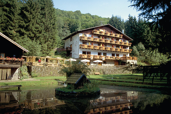 Wolffhotel - photo 0