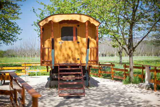 Une roulotte au pied du Vercors - photo 2