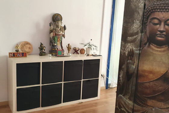CENTRO MEDICINA NATURAL GENEROSA FLORES - photo 0