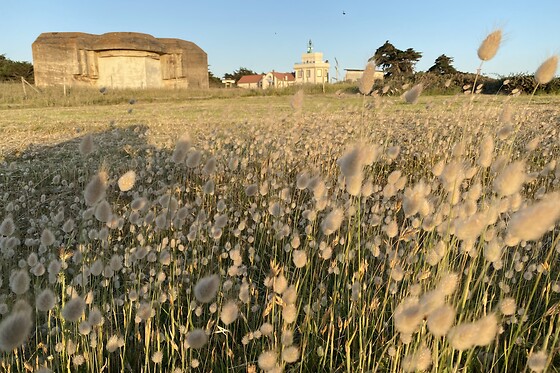 Le Calluna - photo 15