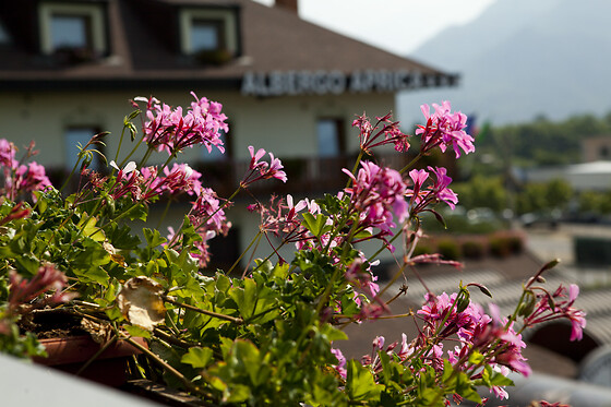 Albergo Aprica - photo 1