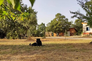 Uma noite em Eco-Villa para 2 em Terramadome em Penamacor (Castelo Branco)