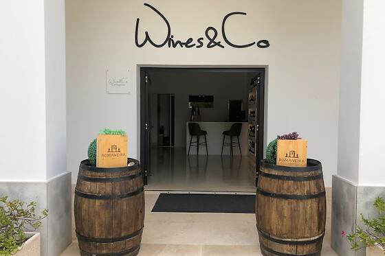 Uma prova para 2 em Wines&Co em Albufeira (Faro)