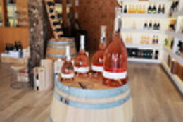 Wines&Co
