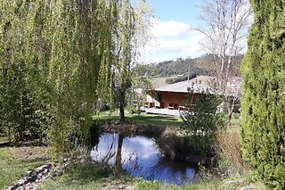 Uma noite em Tenda Glamping com pequeno almoço e welcome drink para 2 | Quinta Japonesa (Carvalhal Benfeito, Leiria)