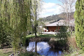 Uma noite em Tenda Glamping com pequeno almoço e welcome drink para 2 | Quinta Japonesa (Carvalhal Benfeito, Leiria)