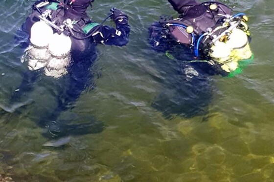 No Limit Divers - photo 5