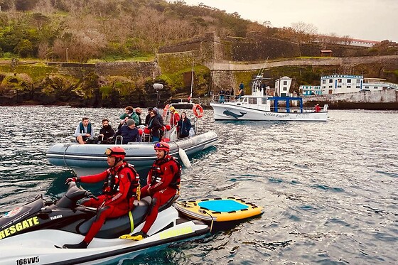 Experiência de natação com golfinhos para 1 | OceanEmotion (Angra do Heroismo, Ilha Terceira)