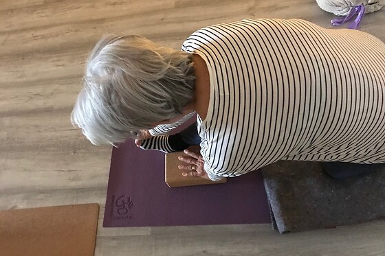 Workshop de meditação | Shala Academia de Yoga em Almada
