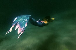 THE BLUE JUMP ECODIVING