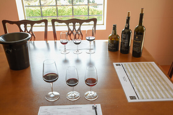 Prova de Vinhos para 2 | Quinta do Pégo (Tabuaço, Viseu)