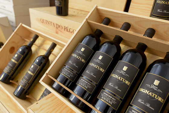 Prova de Vinhos para 2 | Quinta do Pégo (Tabuaço, Viseu)