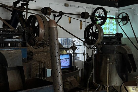 Visita Guiada ao Lagar com Prova de azeites para 2 | Lagar Museu Melara Picado Nunes (Marvão, Portalegre)