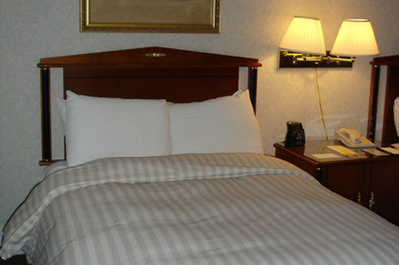 BARTHOLOMEU GUESTHOUSE - photo 5