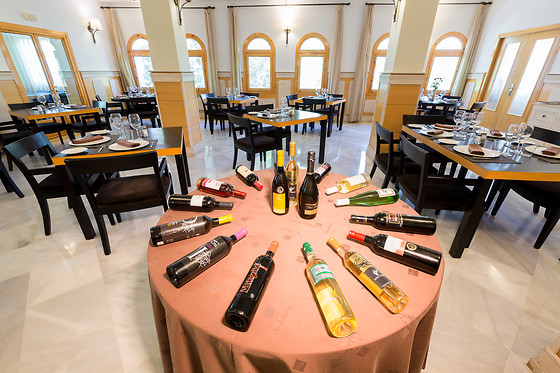 VILLA TURÍSTICA LAUJAR DE ANDARAX - photo 7