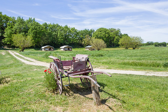 Les Anes de Forcalquier - photo 14