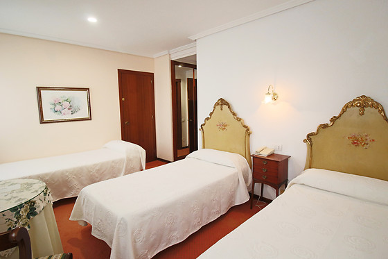 HOTEL SANTILLANA - photo 9