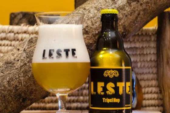 Leste - photo 5