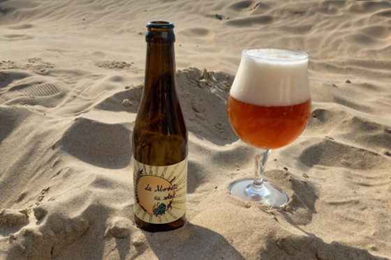 Microbrasserie des Coccinelles - photo 0