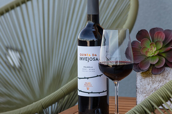 Tour da Invejosa: Prova de Vinhos acompanhada de tábua de queijos para 2 | Filipe Palhoça Vinhos (Palmela, Setúbal)