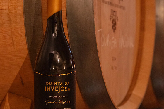 Tour da Invejosa: Prova de Vinhos acompanhada de tábua de queijos para 2 | Filipe Palhoça Vinhos (Palmela, Setúbal)