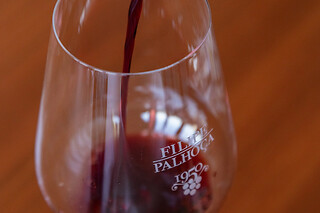 Tour da Invejosa: Prova de Vinhos acompanhada de tábua de queijos para 2 | Filipe Palhoça Vinhos (Palmela, Setúbal)